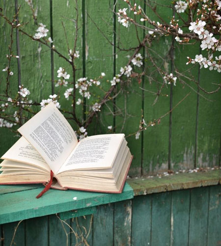 Exploring the Wellness of Black Women who Describe a Criterion A Trauma in their Life Story